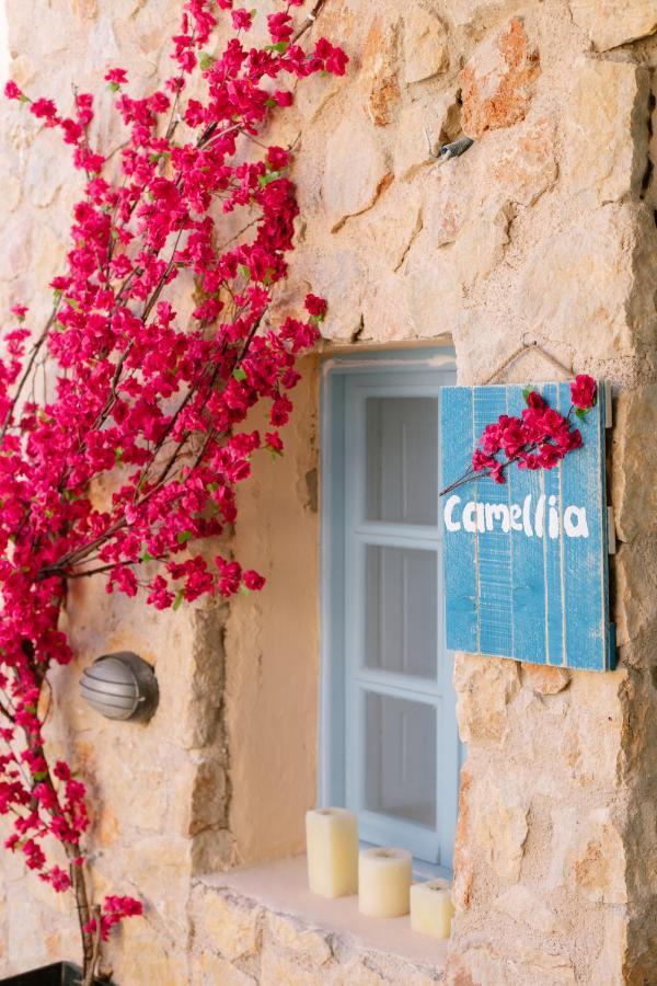 Villa Antheia Karterados  Esterno foto